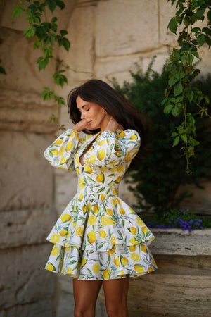 Amalia Flounce Dress