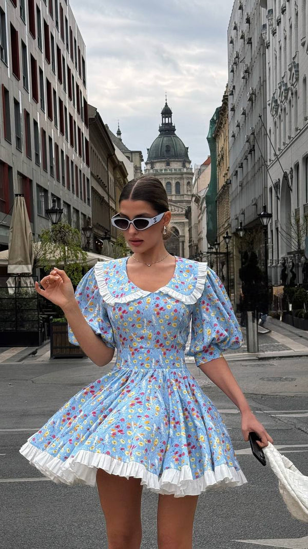 Blue Garden Vintage Çiçekli Mini Elbise