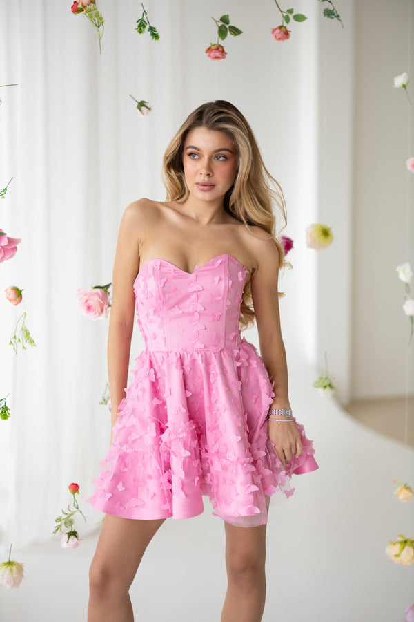 Adélie Butterfly Appliqué Mini Dress