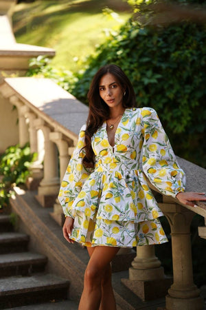 Amalia Flounce Dress