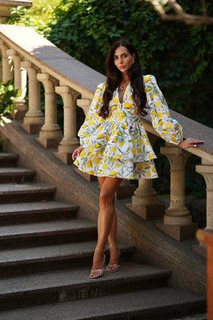 Amalia Flounce Dress