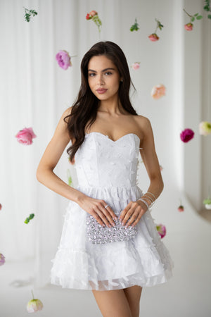 Adélie Butterfly Appliqué Mini Dress