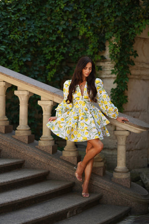 Amalia Flounce Dress