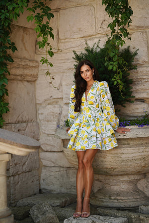 Amalia Flounce Dress
