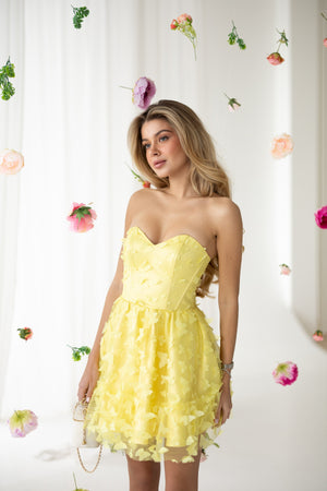 Adélie Butterfly Appliqué Mini Dress