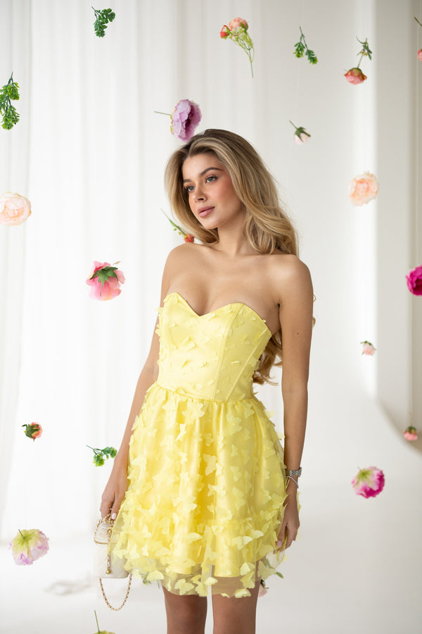 Adélie Butterfly Appliqué Mini Dress