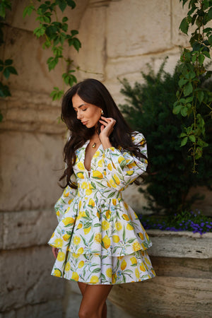 Amalia Flounce Dress