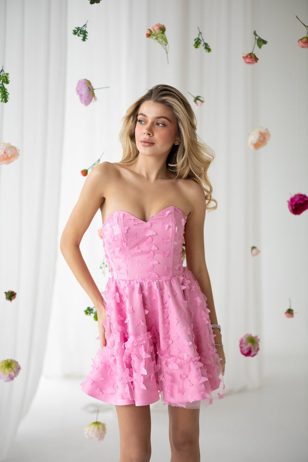 Adélie Butterfly Appliqué Mini Dress