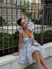 Églantine Floral Organza Mini Dress in White Blue Floral