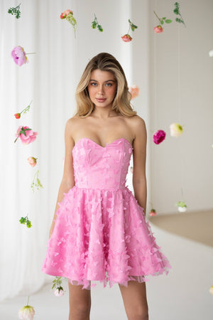 Adélie Butterfly Appliqué Mini Dress