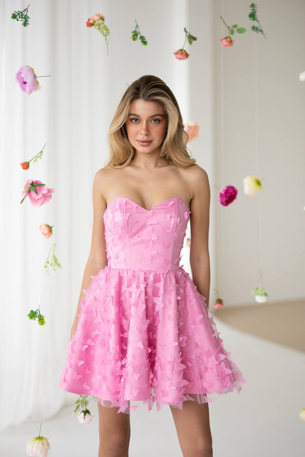 Adélie Butterfly Appliqué Mini Dress